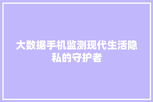 大数据手机监测现代生活隐私的守护者