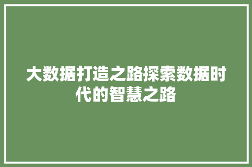大数据打造之路探索数据时代的智慧之路