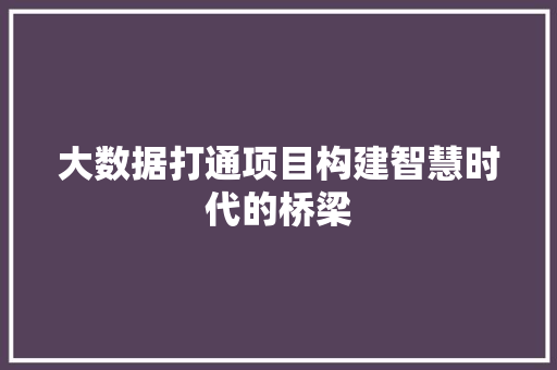 大数据打通项目构建智慧时代的桥梁