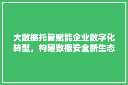 大数据托管赋能企业数字化转型，构建数据安全新生态