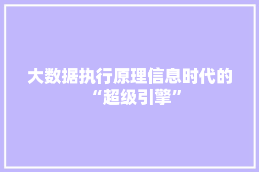大数据执行原理信息时代的“超级引擎”