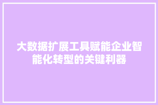 大数据扩展工具赋能企业智能化转型的关键利器