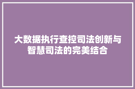 大数据执行查控司法创新与智慧司法的完美结合