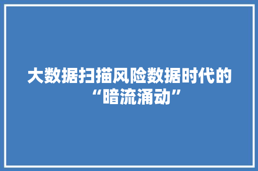 大数据扫描风险数据时代的“暗流涌动”  第1张