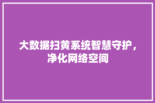 大数据扫黄系统智慧守护，净化网络空间  第1张
