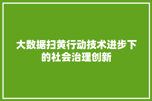 大数据扫黄行动技术进步下的社会治理创新  第1张