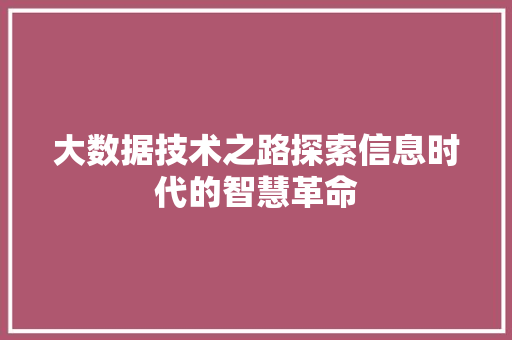 大数据技术之路探索信息时代的智慧革命  第1张
