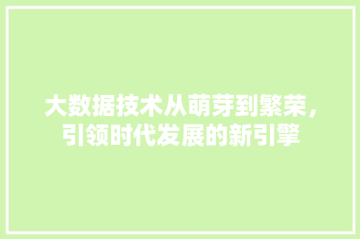 大数据技术从萌芽到繁荣，引领时代发展的新引擎  第1张