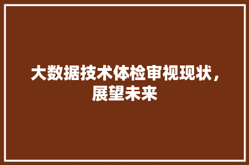大数据技术体检审视现状，展望未来  第1张