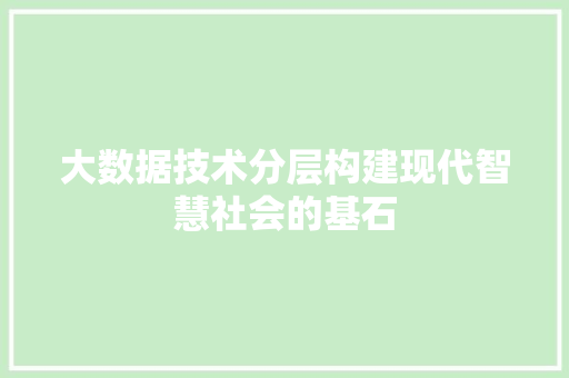 大数据技术分层构建现代智慧社会的基石  第1张