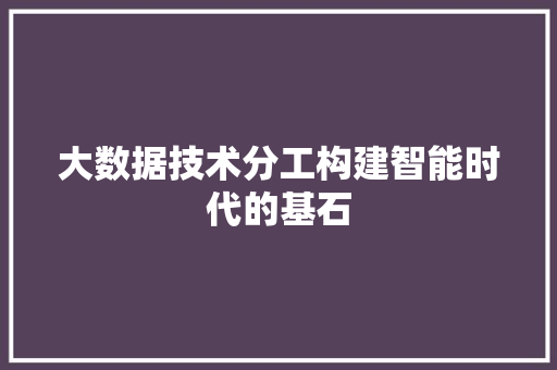 大数据技术分工构建智能时代的基石