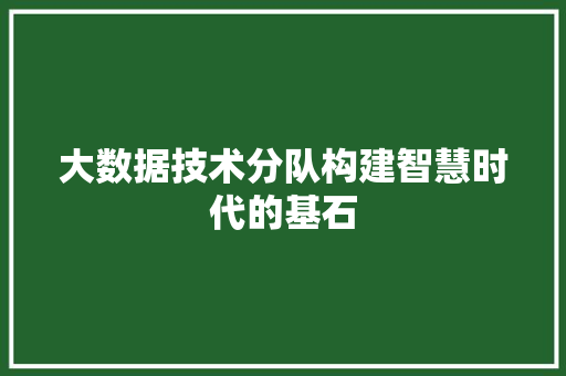 大数据技术分队构建智慧时代的基石
