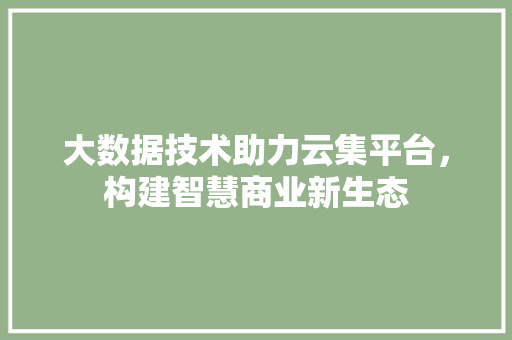 大数据技术助力云集平台，构建智慧商业新生态