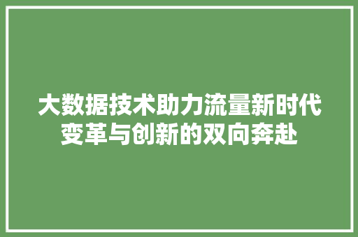 大数据技术助力流量新时代变革与创新的双向奔赴  第1张