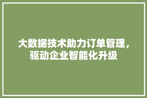 大数据技术助力订单管理，驱动企业智能化升级  第1张