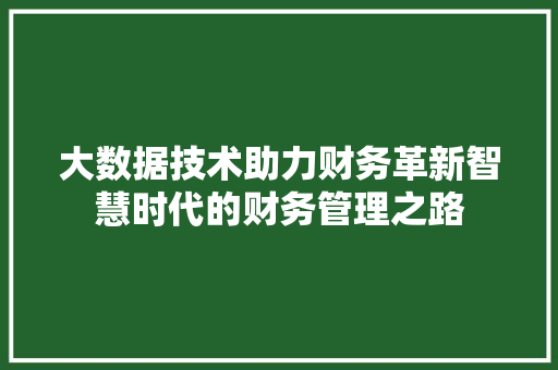 大数据技术助力财务革新智慧时代的财务管理之路