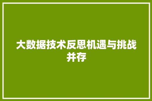 大数据技术反思机遇与挑战并存  第1张