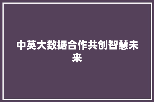 中英大数据合作共创智慧未来  第1张