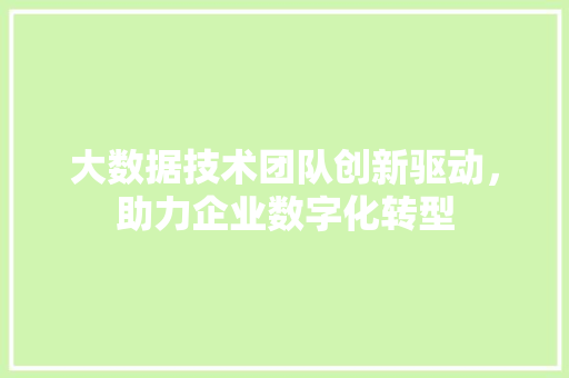 大数据技术团队创新驱动，助力企业数字化转型  第1张