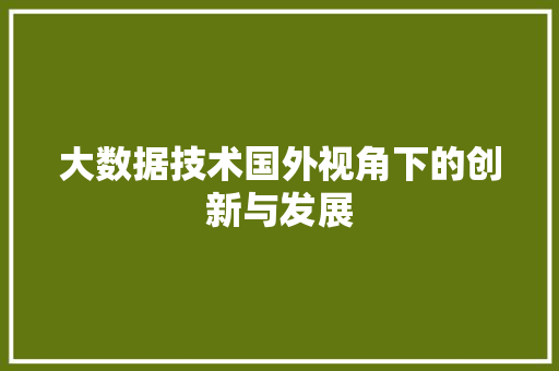 大数据技术国外视角下的创新与发展  第1张