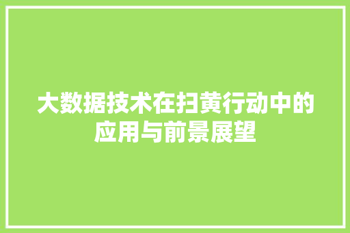 大数据技术在扫黄行动中的应用与前景展望