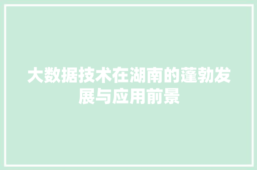大数据技术在湖南的蓬勃发展与应用前景  第1张