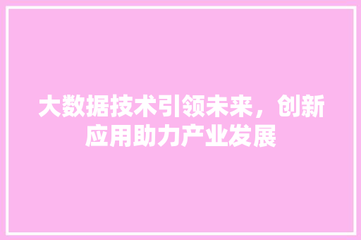 大数据技术引领未来，创新应用助力产业发展