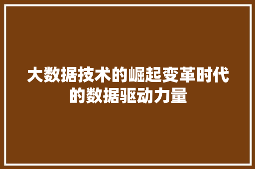 大数据技术的崛起变革时代的数据驱动力量