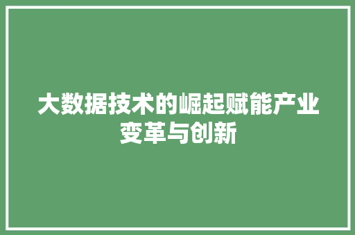 大数据技术的崛起赋能产业变革与创新