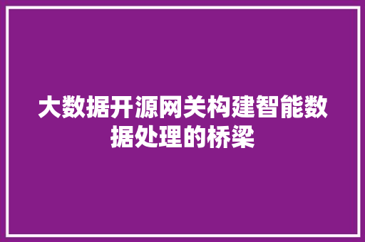 大数据开源网关构建智能数据处理的桥梁  第1张