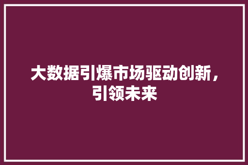 大数据引爆市场驱动创新，引领未来  第1张