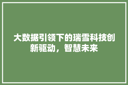 大数据引领下的瑞雪科技创新驱动，智慧未来  第1张