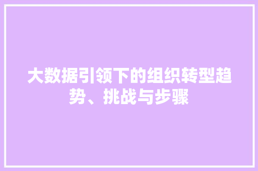 大数据引领下的组织转型趋势、挑战与步骤