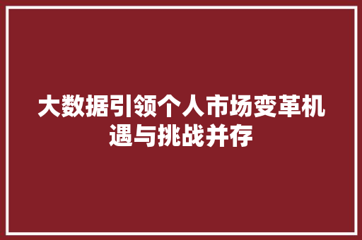 大数据引领个人市场变革机遇与挑战并存  第1张