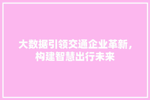 大数据引领交通企业革新，构建智慧出行未来  第1张