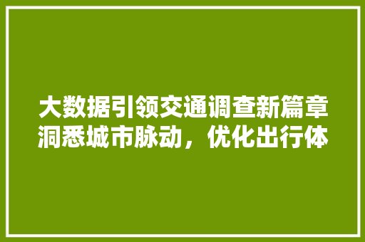 大数据引领交通调查新篇章洞悉城市脉动，优化出行体验