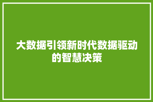 大数据引领新时代数据驱动的智慧决策