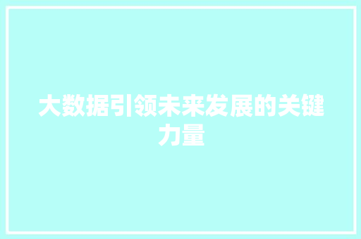 大数据引领未来发展的关键力量  第1张