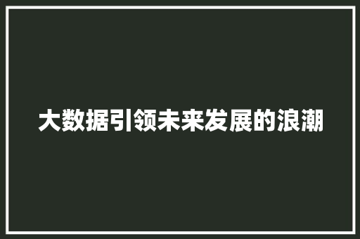 大数据引领未来发展的浪潮  第1张