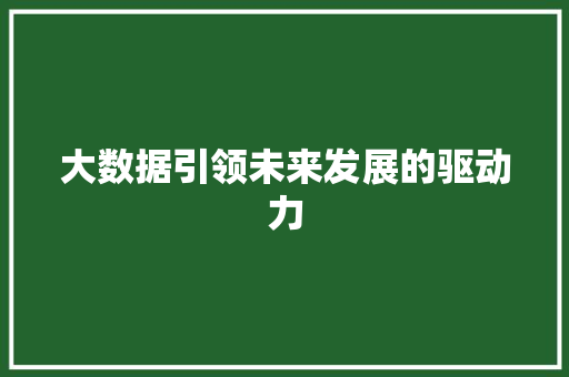 大数据引领未来发展的驱动力  第1张
