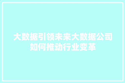 大数据引领未来大数据公司如何推动行业变革  第1张