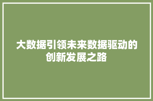 大数据引领未来数据驱动的创新发展之路  第1张