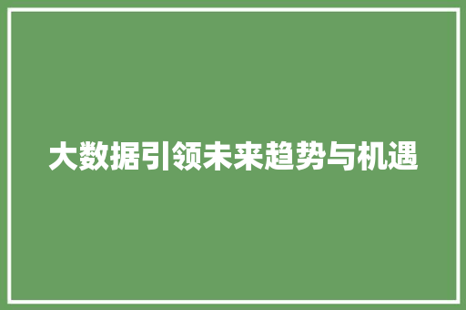 大数据引领未来趋势与机遇  第1张