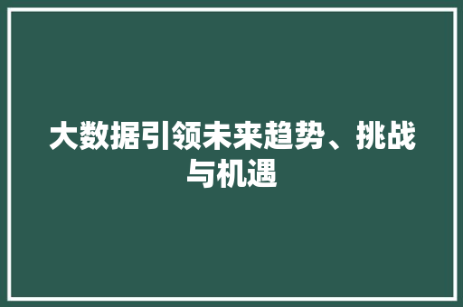 大数据引领未来趋势、挑战与机遇  第1张