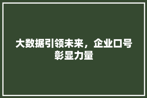 大数据引领未来，企业口号彰显力量