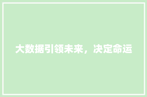 大数据引领未来，决定命运  第1张