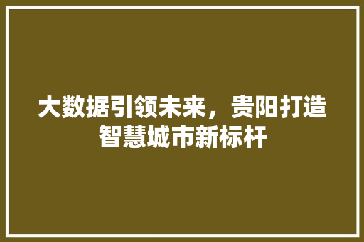 大数据引领未来，贵阳打造智慧城市新标杆  第1张