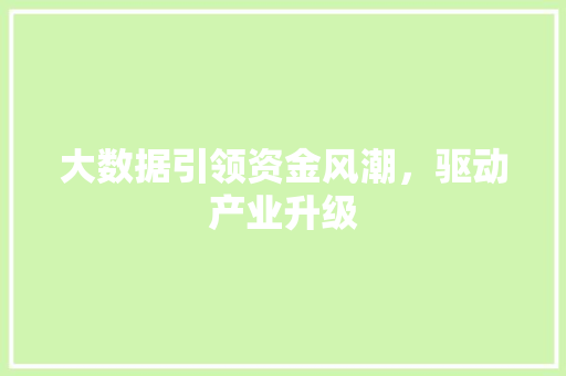大数据引领资金风潮，驱动产业升级  第1张