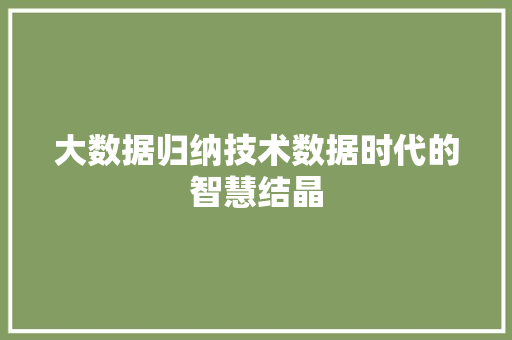 大数据归纳技术数据时代的智慧结晶