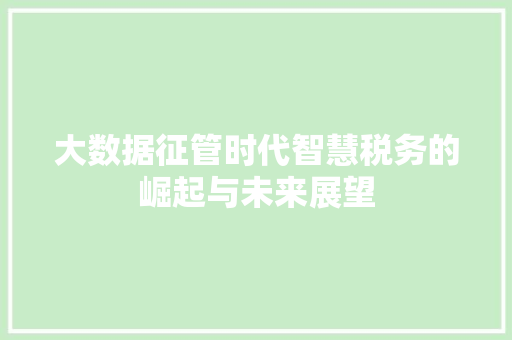 大数据征管时代智慧税务的崛起与未来展望  第1张